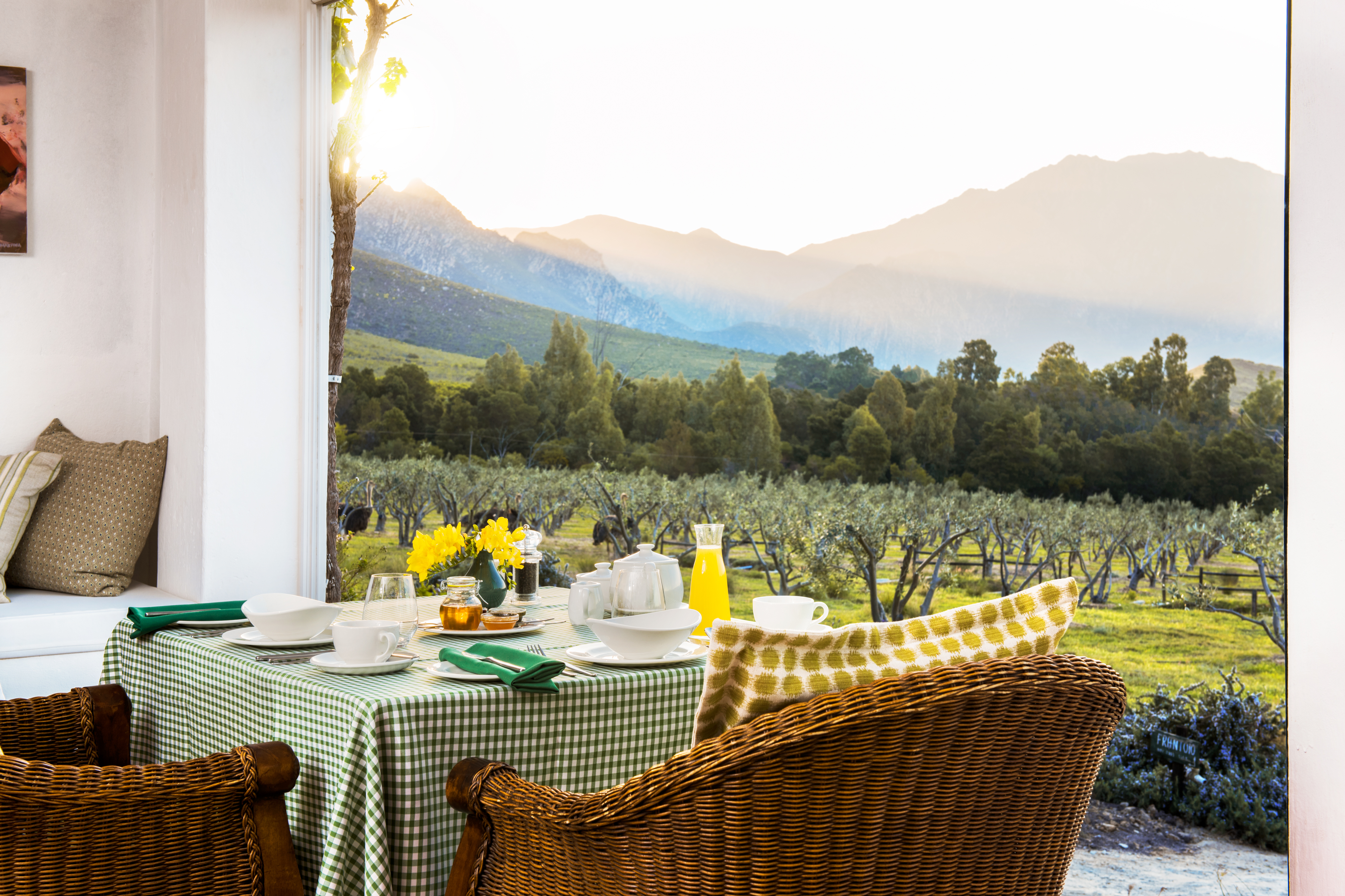 Galenia estate breakfast table overlooking the olive groves and dam